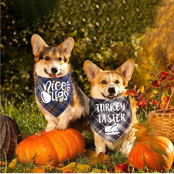 Small Dog Thanksgiving/Christmas Bandana Set - Picture 3 of 4